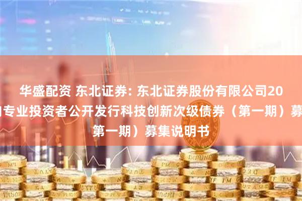 华盛配资 东北证券: 东北证券股份有限公司2025年面向专业投资者公开发行科技创新次级债券（第一期）募集说明书