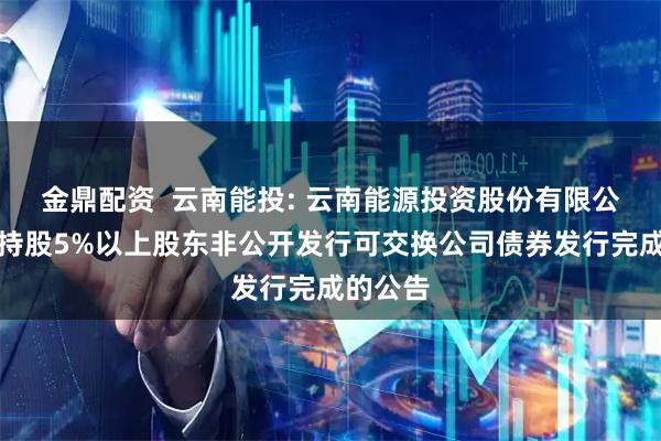 金鼎配资  云南能投: 云南能源投资股份有限公司关于持股5%以上股东非公开发行可交换公司债券发行完成的公告