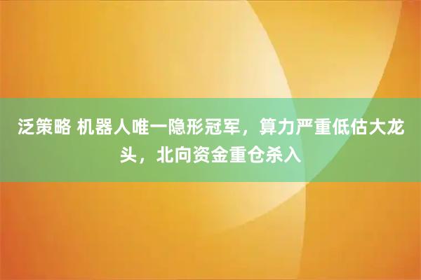 泛策略 机器人唯一隐形冠军，算力严重低估大龙头，北向资金重仓杀入